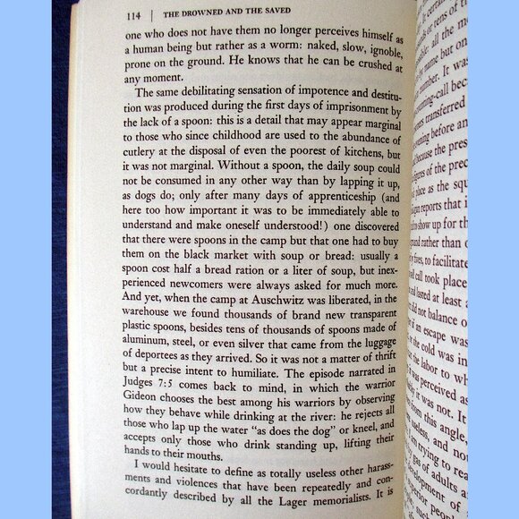 Book: The Drowned and the Saved by Primo Levi, Translated by Raymond Rosenthal - Picture 6 of 13